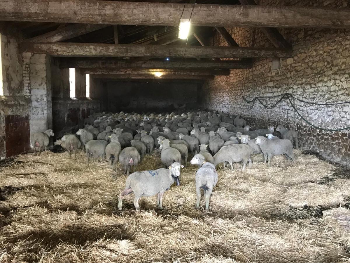 Studio A La Ferme Vila Arles Exterior foto